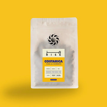 COSTA RICA GEISHA Beans